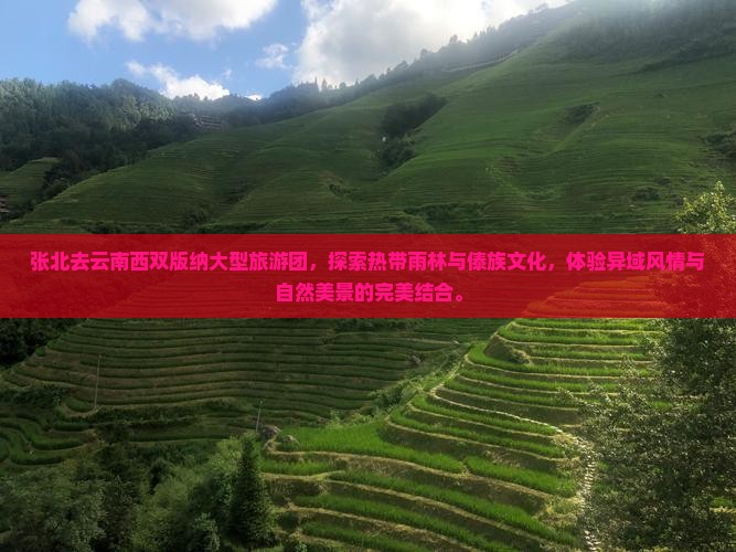 张北去云南西双版纳大型旅游团