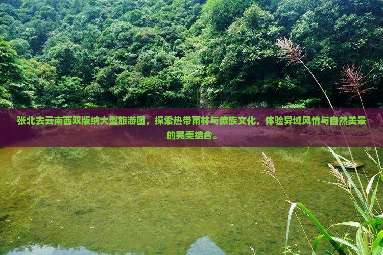 张北去云南西双版纳大型旅游团