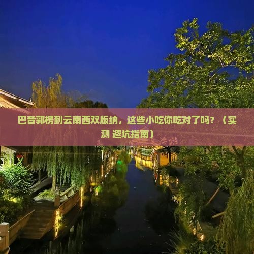 巴音郭楞到云南西双版纳旅游小吃