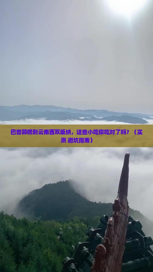 巴音郭楞到云南西双版纳旅游小吃