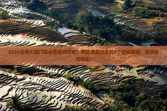 阿拉善盟到云南大理门票