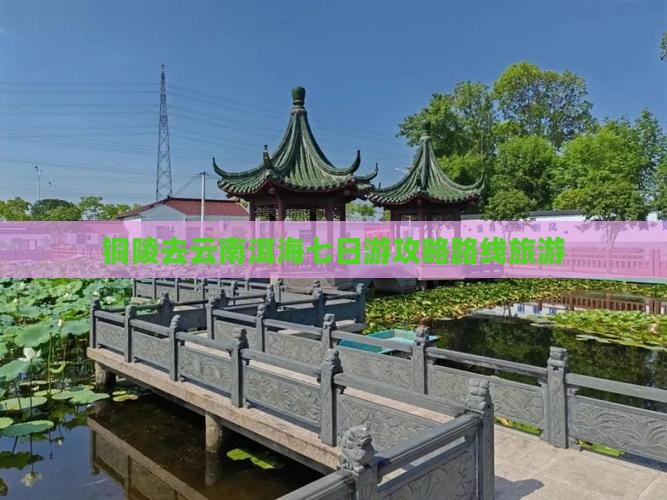 铜陵去云南洱海七日游