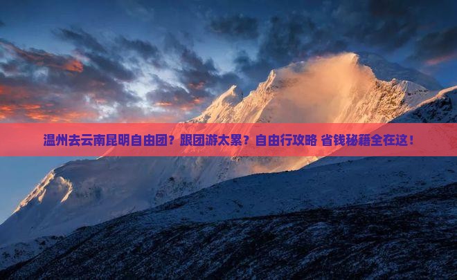 温州去云南昆明自由团