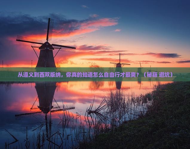 遵义到云南西双版纳自由行