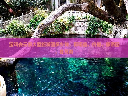 宝鸡去云南大型旅游团