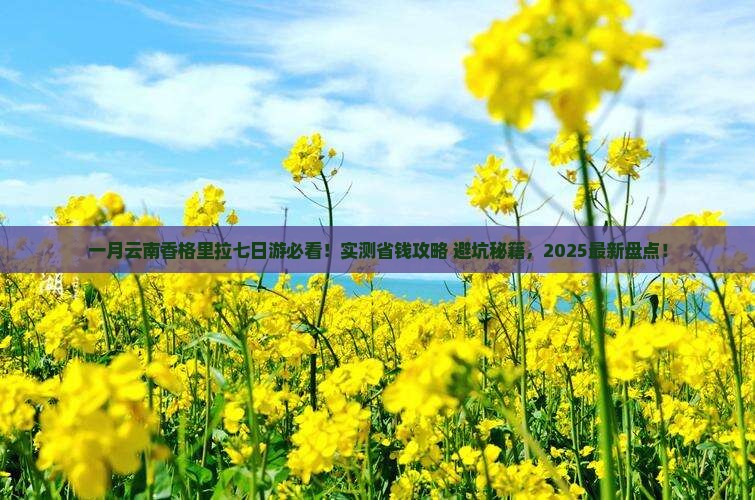 一月去云南香格里拉七日游