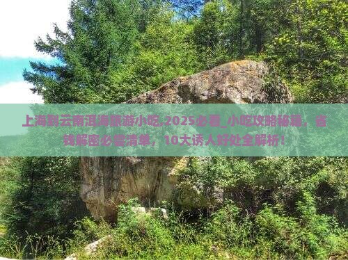 上海到云南洱海旅游小吃