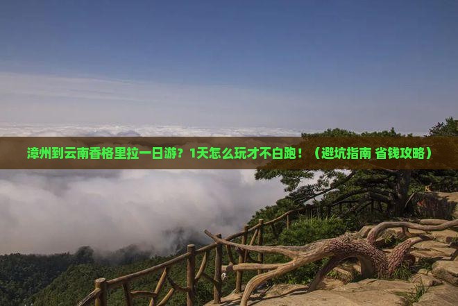 漳州到云南香格里拉一日
