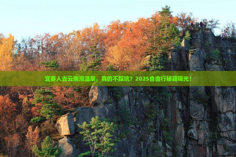 宜春去云南温泉自由行