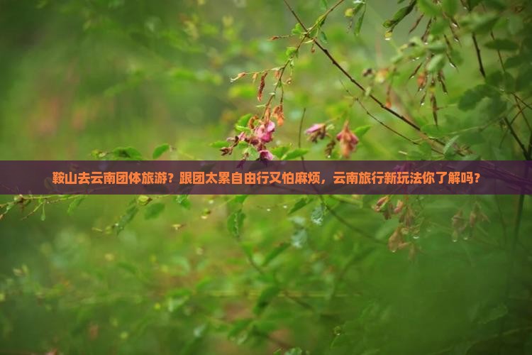 鞍山去云南团体旅游
