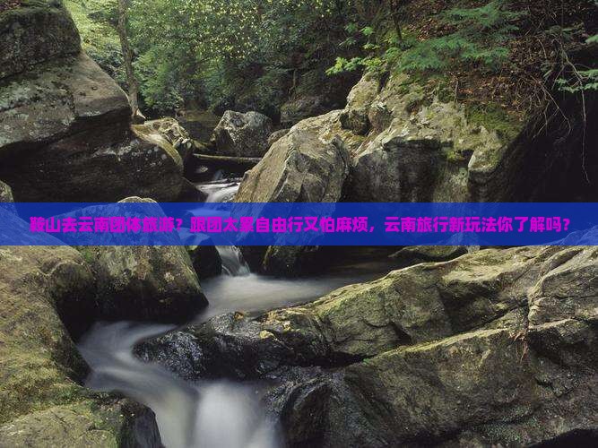 鞍山去云南团体旅游