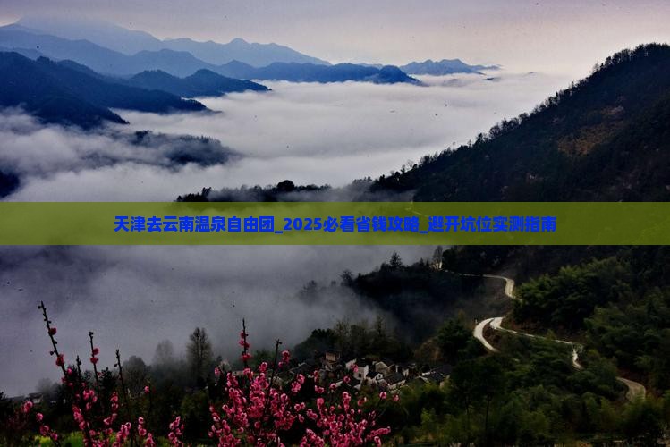 天津去云南温泉自由团