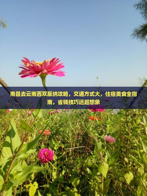 南昌去云南西双版纳攻略