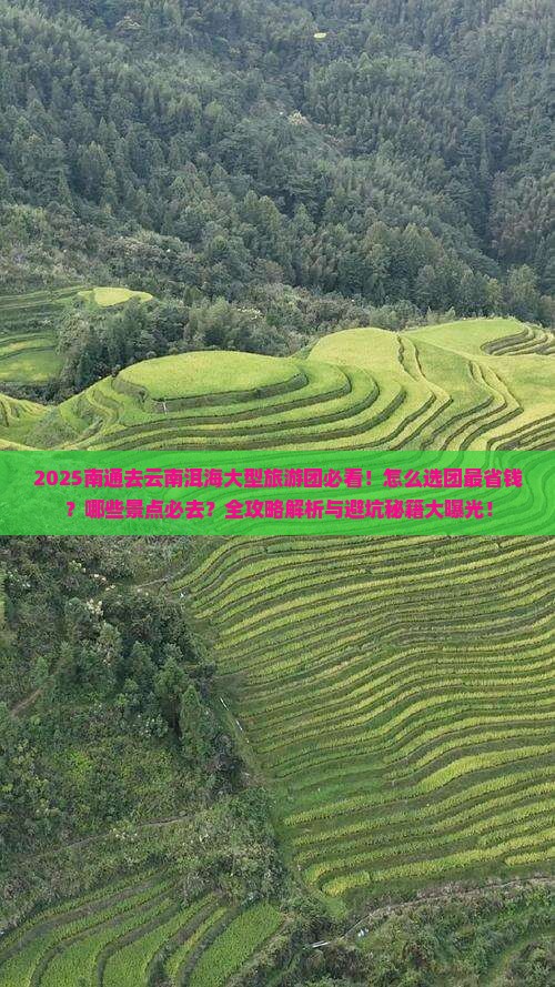 南通去云南洱海大型旅游团