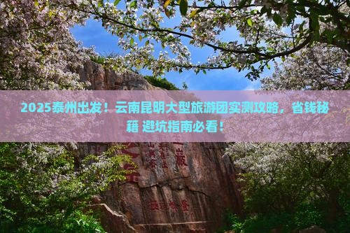 泰州去云南昆明大型旅游团