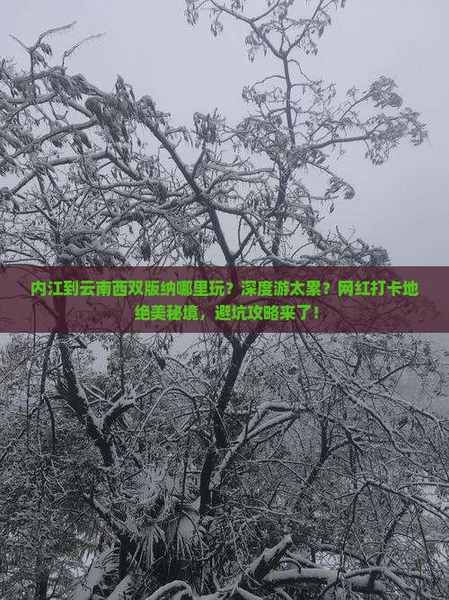 内江到云南西双版纳哪里玩