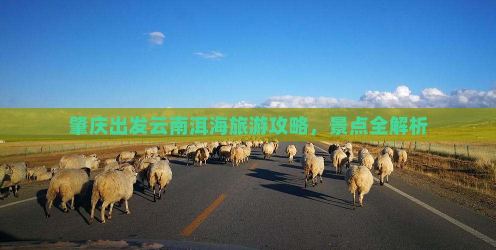 肇庆去云南洱海哪里玩