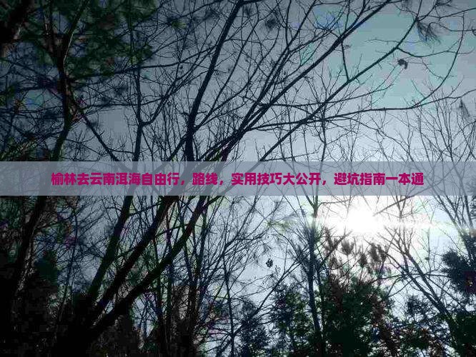 榆林去云南洱海自由行