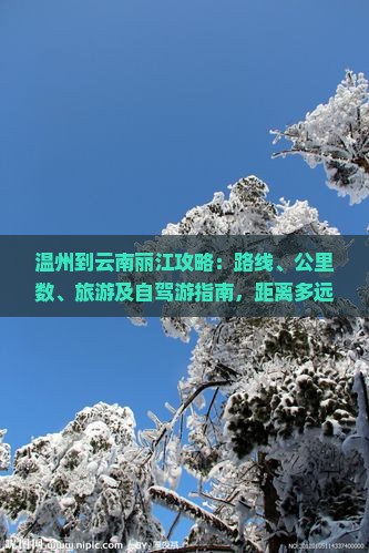 温州到云南丽江攻略