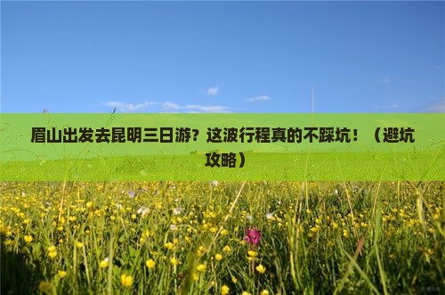 眉山去云南昆明三日游
