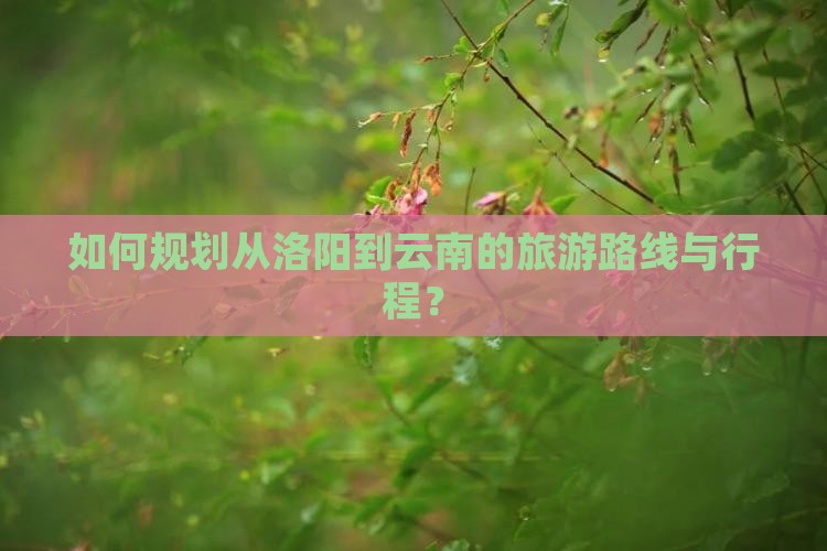 如何规划从洛阳到云南的旅游路线与行程？