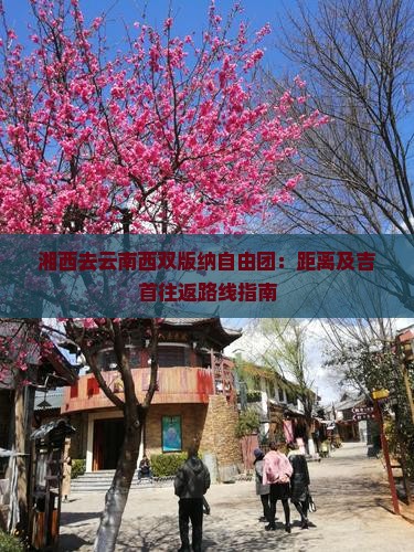 湘西去云南西双版纳自由团：距离及吉首往返路线指南