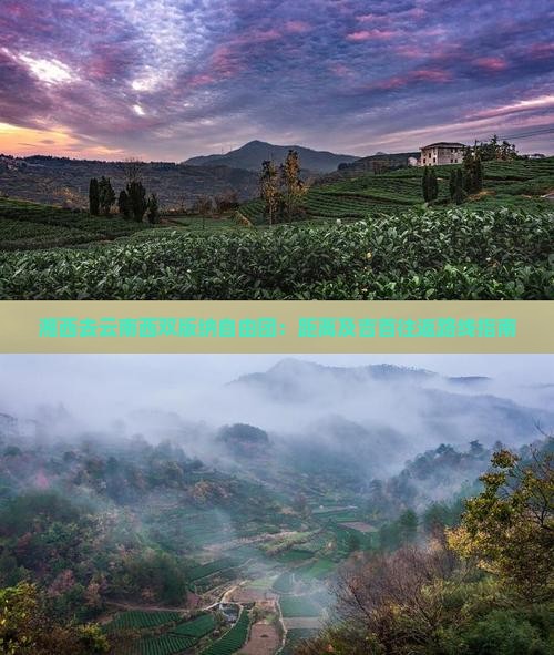 湘西去云南西双版纳自由团：距离及吉首往返路线指南