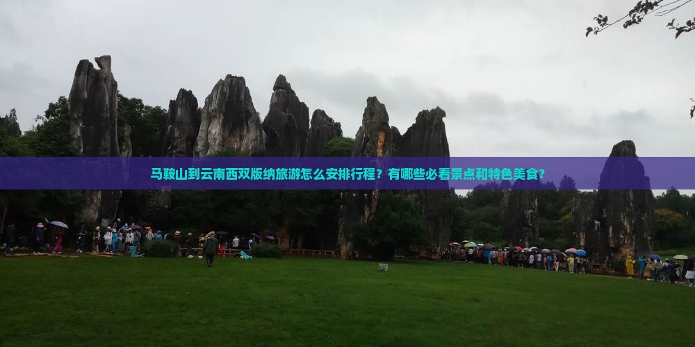 马鞍山到云南西双版纳旅游怎么安排行程？有哪些必看景点和特色美食？