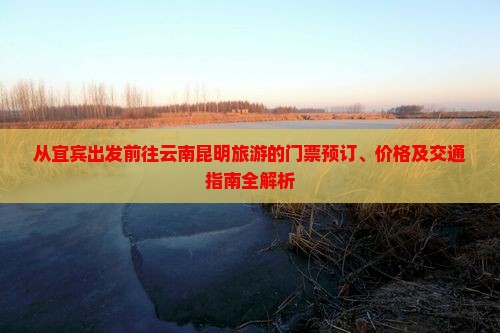 从宜宾出发前往云南昆明旅游的门票预订、价格及交通指南全解析