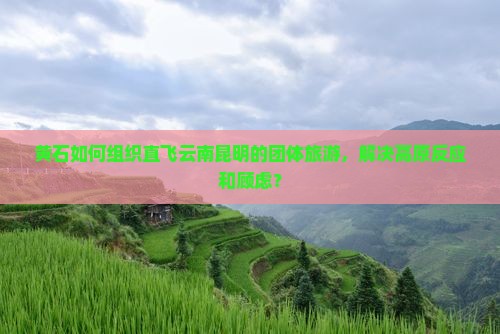 黄石如何组织直飞云南昆明的团体旅游，解决高原反应和顾虑？