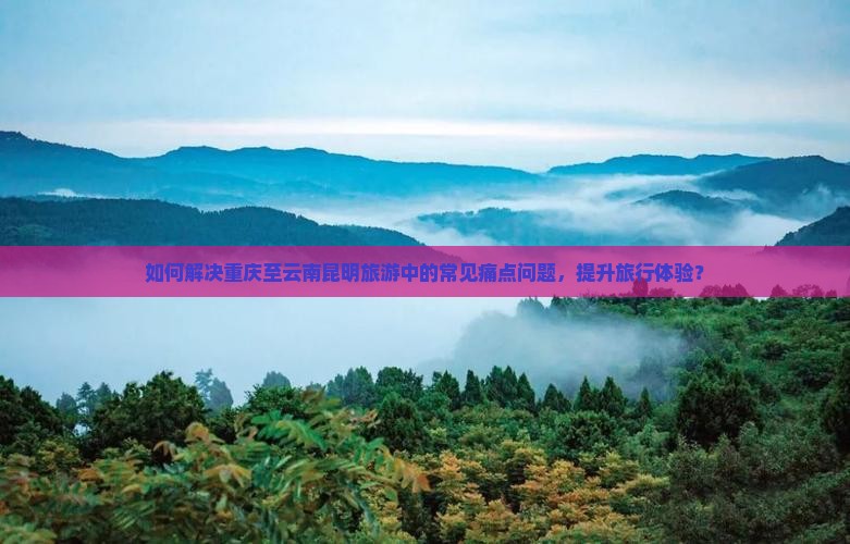 如何解决重庆至云南昆明旅游中的常见痛点问题，提升旅行体验？