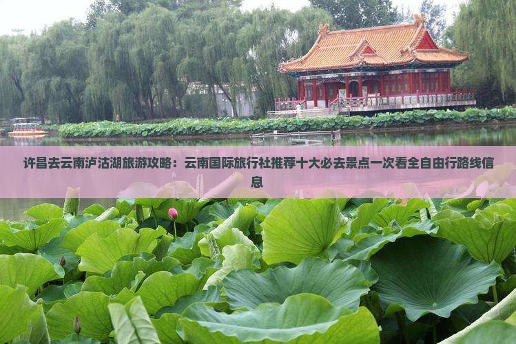 许昌去云南泸沽湖旅游攻略：云南国际旅行社推荐十大必去景点一次看全自由行路线信息