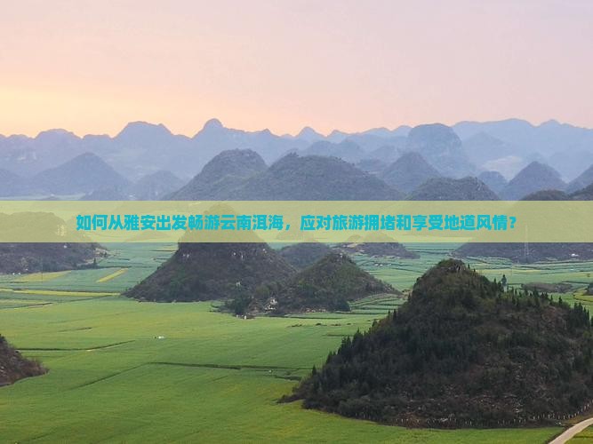 如何从雅安出发畅游云南洱海，应对旅游拥堵和享受地道风情？