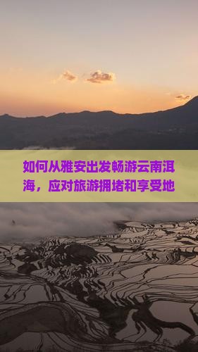 如何从雅安出发畅游云南洱海，应对旅游拥堵和享受地道风情？