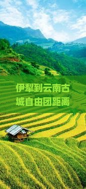 伊犁到云南古城自由团距离、路线及机票价格一览
