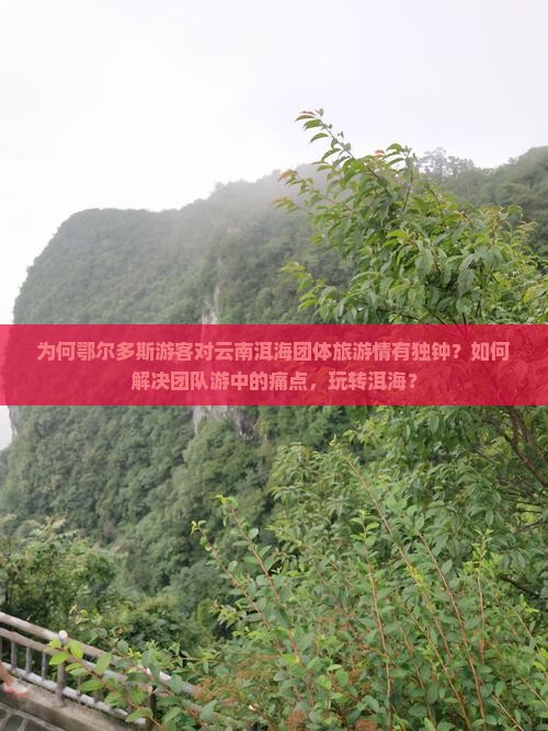 为何鄂尔多斯游客对云南洱海团体旅游情有独钟？如何解决团队游中的痛点，玩转洱海？