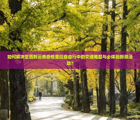 如何解决定西到云南香格里拉自由行中的交通难题与必体验新潮活动？