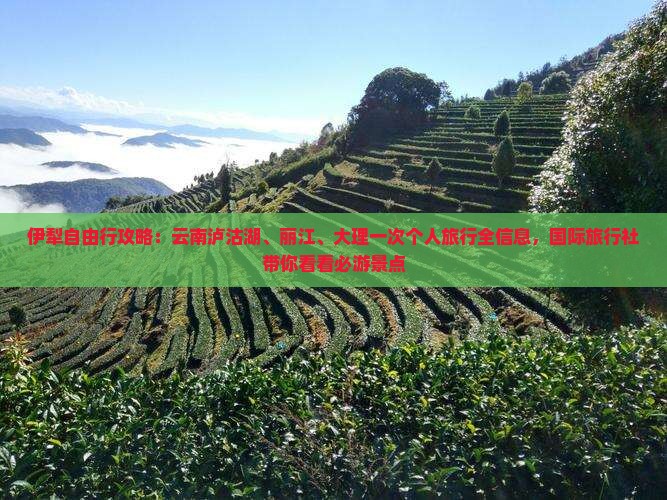 伊犁自由行攻略：云南泸沽湖、丽江、大理一次个人旅行全信息，国际旅行社带你看看必游景点