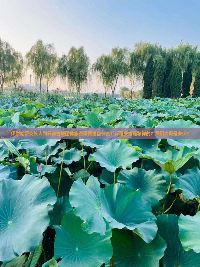 伊犁哈萨克族人到云南古城团体旅游需要准备什么？行程安排是怎样的？费用大概是多少？