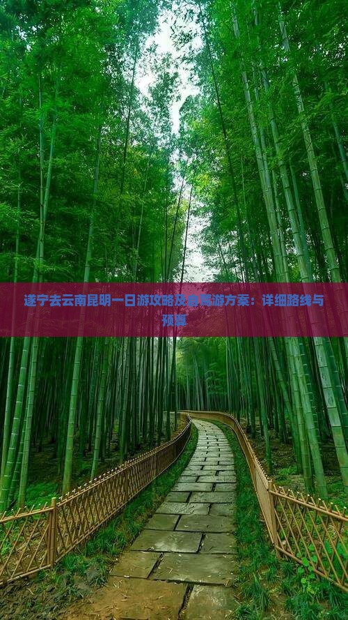 遂宁去云南昆明一日游攻略及自驾游方案：详细路线与预算