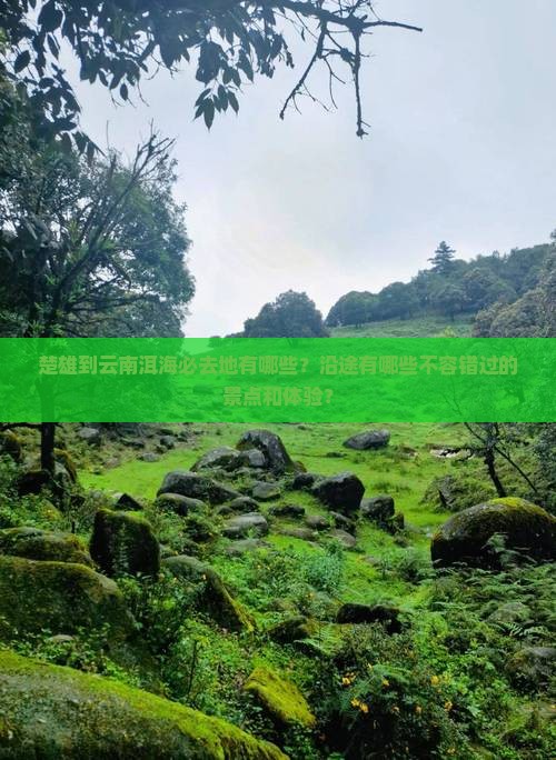 楚雄到云南洱海必去地有哪些？沿途有哪些不容错过的景点和体验？