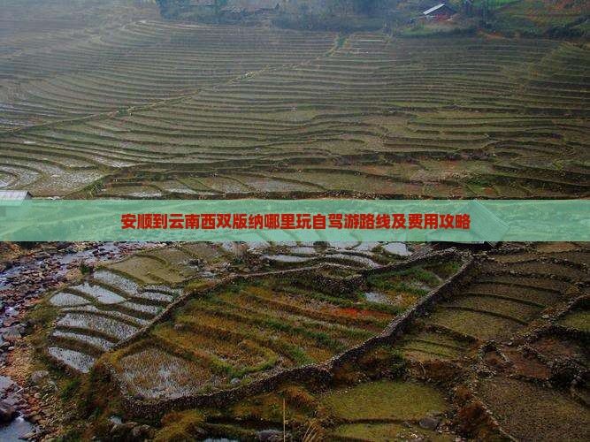 安顺到云南西双版纳哪里玩自驾游路线及费用攻略