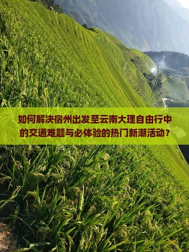 如何解决宿州出发至云南大理自由行中的交通难题与必体验的热门新潮活动？