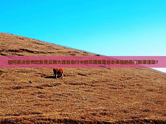 如何解决宿州出发至云南大理自由行中的交通难题与必体验的热门新潮活动？