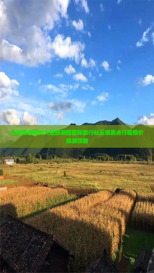 云南旅游郴州大型旅游团国际旅行社云南景点行程报价旅游攻略