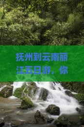 抚州到云南丽江五日游