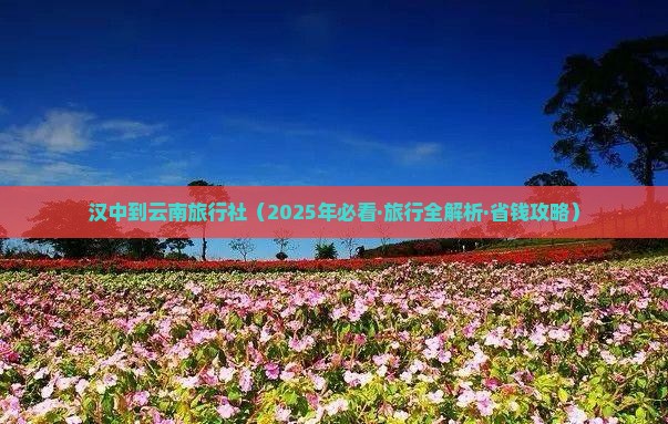 汉中到云南旅行社