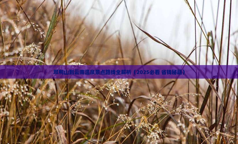 双鸭山到云南温泉景点