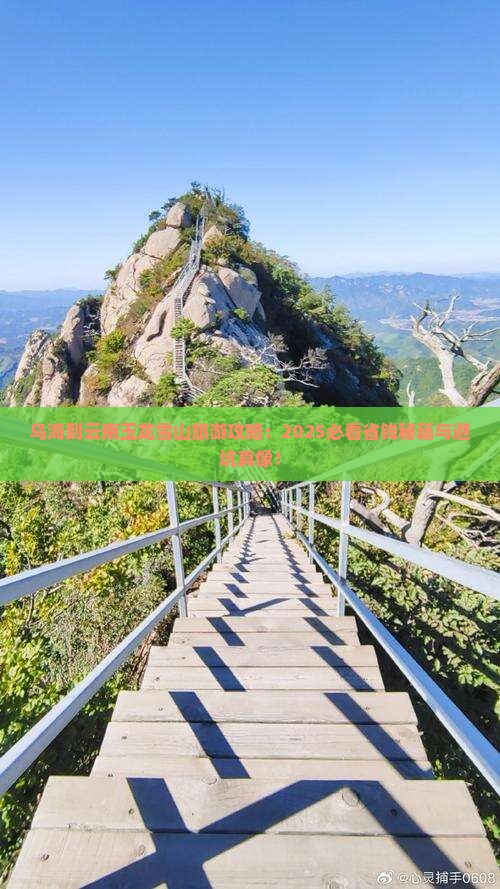 乌海到云南玉龙雪山旅游