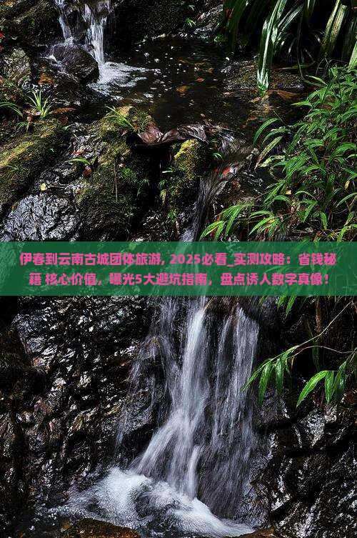 伊春到云南古城团体旅游